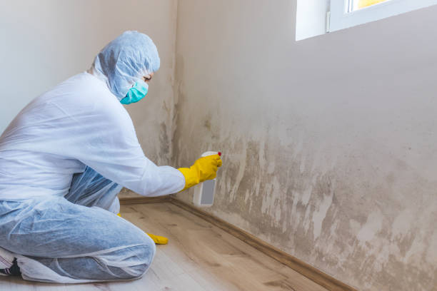 Crawl Space Mold Remediation treatment of floor joists in Muskegon